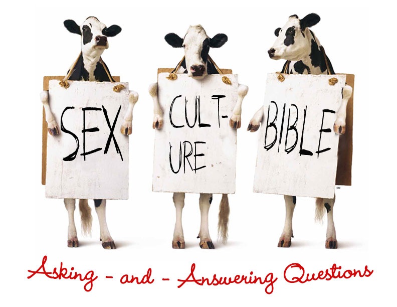 Sex, Culture and the Bible - Part 2 episode artwork